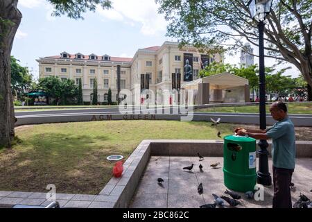 Homme nourrissant des pigeons devant le musée des civilisations asiatiques, Singapour Banque D'Images