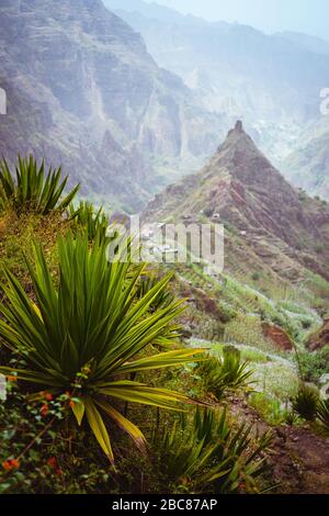 Sommet de montagne des Xo-xo valley et agaves sur la route de trekking vers le bas. Santo Antao, l'île du Cap Vert. Banque D'Images
