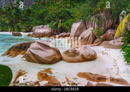 Plage tropicale avec rochers de granit aux Seychelles. Voyage, tourisme exotique et concept de nature contexte. Banque D'Images