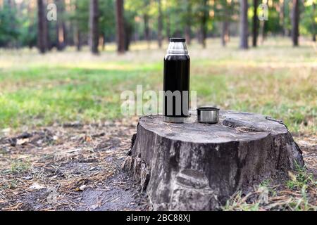 Bouteille thermos noire et une tasse sur une bosse dans un parc au début de l'automne. Banque D'Images