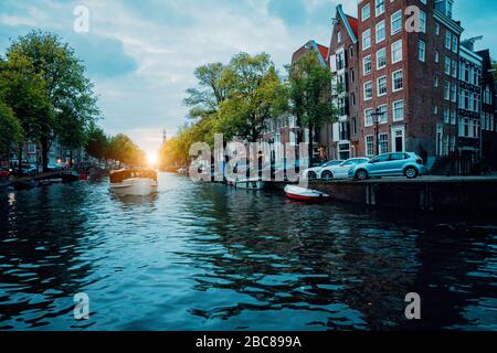 Amsterdam canal arborée avec bateau de croisière coucher du soleil chaud de la lumière. Banque D'Images