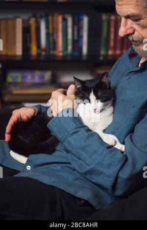 Homme senior qui pette son chat sur un canapé à la maison Banque D'Images