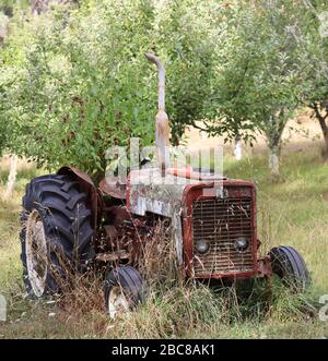 Ancien tracteur. Tracteur rouillé abandonné. Marahau, Abel Tasman South Island Nouvelle-Zélande.plein cadre, pas de gens. Banque D'Images