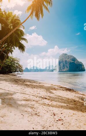 Paysage côtier panoramique d'El Nido. Plage de sable avec un immense rocher dans l'océan et des palmiers, île de Palawan. Philippines. Banque D'Images