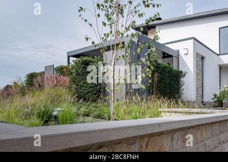 Lit de plantes devant une maison moderne et exclusive avec des herbes, des fougères et de jeunes arbres Banque D'Images