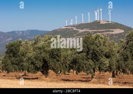 Près de Didim, province d'Aydin, Turquie. Générateurs de vent. Banque D'Images