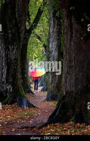 Holzkirchen, Landkreis Miesbach, Haute-Bavière, Bavière, Allemagne, Europe. Une journée animée d'automne sur la Steindlweg à Koglallee Banque D'Images