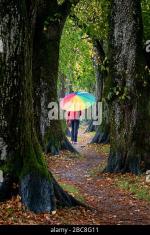 Holzkirchen, Landkreis Miesbach, Haute-Bavière, Bavière, Allemagne, Europe. Une journée animée d'automne sur la Steindlweg à Koglallee Banque D'Images