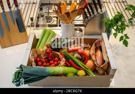 Livraison locale de légumes frais sur le comptoir de cuisine: Céleri, tomates cerises, poireaux, oignons, pommes de terre, chilis rouges, oignons de printemps et limes Banque D'Images