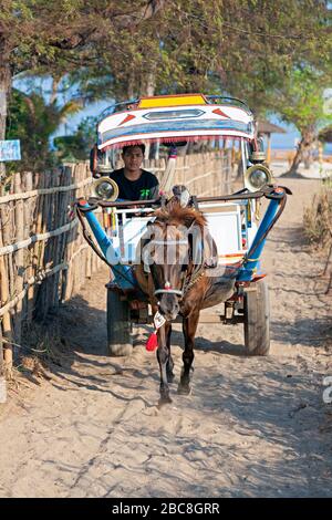 Asie, Indonésie, West Nusa Tenggara, Gili Air, Cidomo (Horse-draw Carriage) sur le sentier Beachside Banque D'Images
