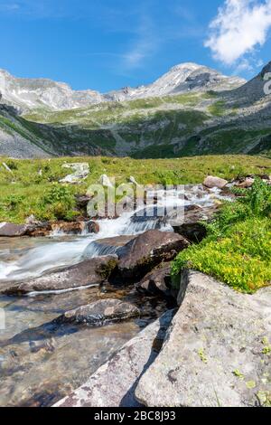 La vallée de Lapenkar avec le ruisseau de Lapenkarbach, en arrière-plan le groupe Hochfeiler, Tyrol, quartier de Schwaz, Autriche Banque D'Images