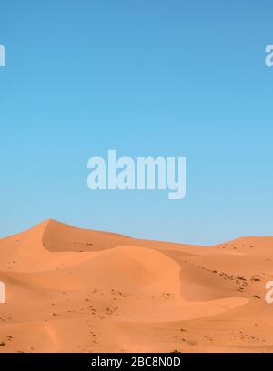 Dunes de sable dans le désert du Sahara (Maroc) Banque D'Images