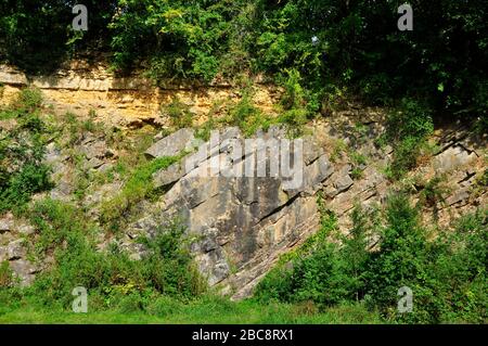 L'inconformité de la Beche à Vlis Vale, Somerset, montrant des couches horizontales de roches sédimentaires jaunes - calcaire oolitique - reposant sur TI Banque D'Images
