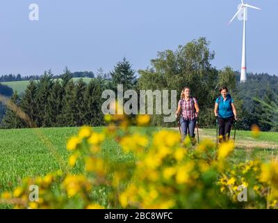 Randonnée sur le deuxième sentier de la vallée, reposez-vous sur le pâturage de montagne à Kreuzmoos, vue vers Bidlstein Banque D'Images