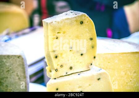 fromage pecorino vieilli dans la grotte aux herbes aromatiques et au poivre noir, prêt à goûter vos délicieux plats Banque D'Images