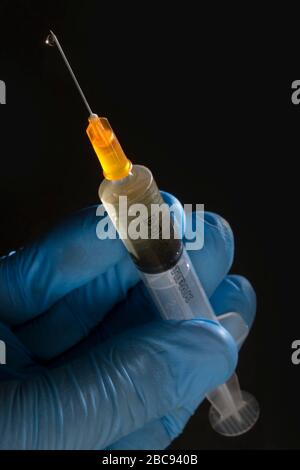 Seringue et aiguille hypodermiques, étant tenues par une main gantée chirurgicale bleue et utilisées pour administrer les vaccins Banque D'Images