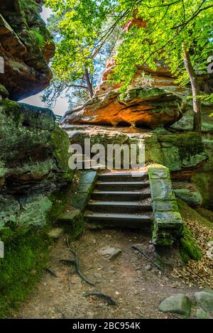 Escaliers dans le Dahner Felsenland à la Jungfernsprung, mystique, mystérieux paysage rocheux près de Dahn, grès rouge recouvert de mousse et de lichen, Banque D'Images