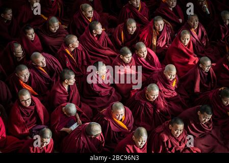 Le complexe Tsuglagkhang de McLeod Ganj Dharamsala est la résidence officielle du Dalaï Lama puisqu'il est exilé du Tibet. Banque D'Images