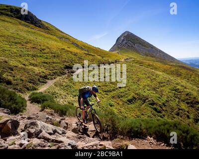 Les cyclistes de montagne sur un seul sentier au Puy Griou. Monts du Cantal, Massif Central, Cantal France Banque D'Images