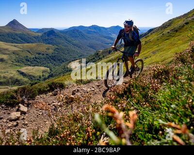 Des cyclistes de montagne sur un seul sentier au Col de Cabre, vue sur le Puy Griou. Monts du Cantal, Massif Central, Cantal France Banque D'Images