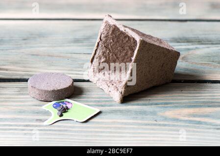 Pot de tourbe, comprimé de terre pressée et graines d'ipomoea. Set pour les plantes en croissance. Banque D'Images