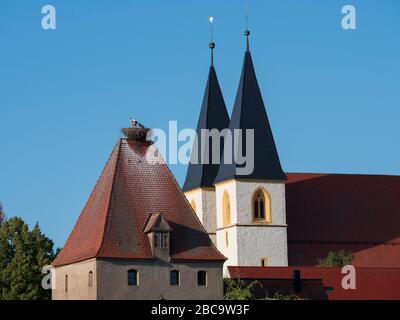 La vieille ville de Herrieden, la tour des cigognes et la collégiale St Vitus, la cigole avec des cigognes, la moyenne-Franconie, la Franconie, la Bavière, l'Allemagne Banque D'Images