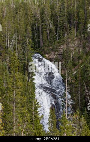 Une magnifique cascade en cascade dans la rivière Firehole à travers une forêt dense située dans le parc national de Yellowstone, au Wyoming. Banque D'Images