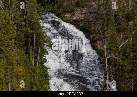 Une magnifique cascade en cascade dans la rivière Firehole à travers une forêt dense située dans le parc national de Yellowstone, au Wyoming. Banque D'Images