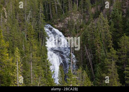 Une magnifique cascade en cascade dans la rivière Firehole à travers une forêt dense située dans le parc national de Yellowstone, au Wyoming. Banque D'Images