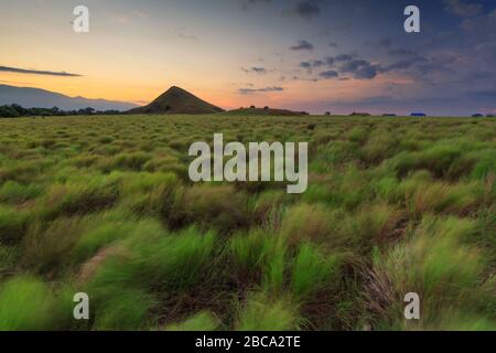 Une petite île de Sumbawa a nommé kenawa avec de belles vues sur l'herbe de savane et le coucher du soleil Banque D'Images