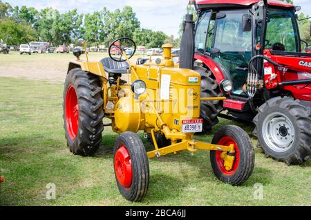 Tracteur 1953 Lanz Bulldog D2206. Banque D'Images