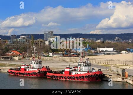 Remorqueurs, Port de Varna, Province homonyme, Bulgarie Banque D'Images