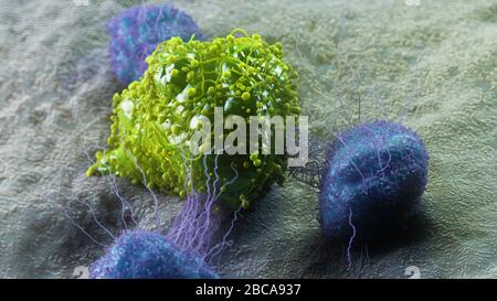 Cellule cancéreuse attaquée par les leucocytes, illustration. Banque D'Images