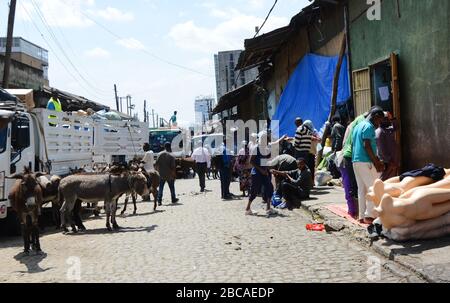 Un âne transportant des marchandises sur le marché de Mercato à Addis-Abeba, en Ethiopie. Banque D'Images