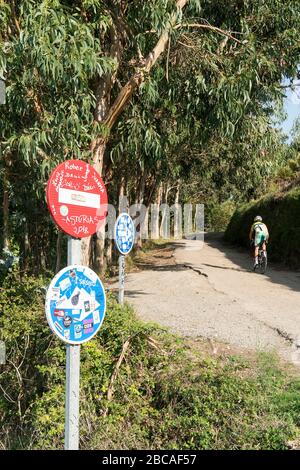 Espagne, côte nord, Asturies, côte, Playa del Silencio, route, cycliste de course Banque D'Images