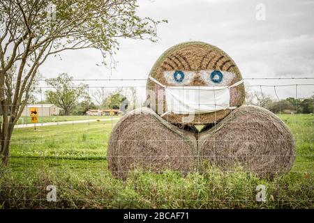 Texas, États-Unis. 3 avril 2020: Un ranch au Texas cherche à ajouter un peu de lévité et de normalité dans le cadre de la nouvelle pandémie de coronavirus COVID-19 avec un affichage de balle de foin portant un masque. Prentice C. James/CSM crédit : CAL Sport Media/Alay Live News Banque D'Images