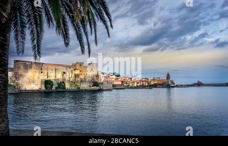 Plage Boramar à Collioure en automne. L'église notre Dames des Anges, sur la droite, a été construite à la fin du XVIIe siècle. Le Château Royal de C Banque D'Images