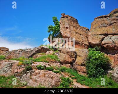 Végétation luxuriante parmi les formations rocheuses rouges au Belogradchick Rocks, en Bulgarie, une destination européenne de voyage étonnante avec de beaux paysages Banque D'Images