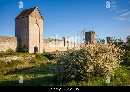 Suède, île Gotland, Visby, mur de ville du XIIe siècle, mur de ville le plus complet en Europe, tour Osterport Banque D'Images