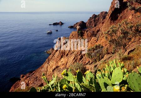 Les roches rouges de la Corniche d'or Esterel France Provence Banque D'Images