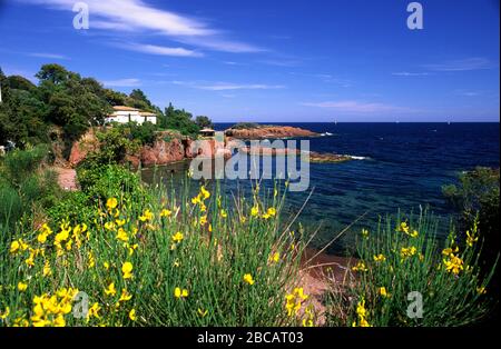 Les roches rouges de la Corniche d'or Esterel France Provence Banque D'Images