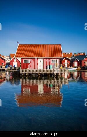 Suède, Bohuslan, Kungshamn, criques de pêche rouges dans le quartier de Fisketangen, ancien pêcheur Banque D'Images