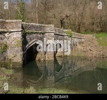 Vieux pont de pierre à Cotehele Crossing The Morden Stream dans la vallée de la rivière Tamar dans les Cornouailles rurales, Angleterre, Royaume-Uni Banque D'Images