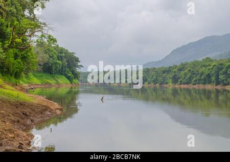 Suryanelli est le paradis de la nature intacte à Kerala, en Inde Banque D'Images