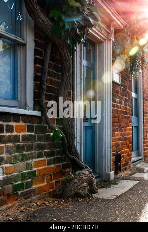 Porte avec sunsys dans la vieille ville de Reepham à Norfolk Banque D'Images