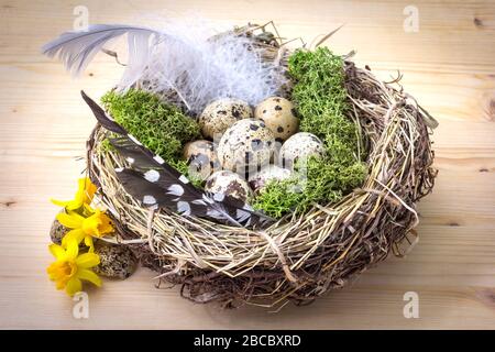 Un petit joli nid de Pâques se tient sur la table. Décoré de fleurs, de plumes et d'œufs. Banque D'Images