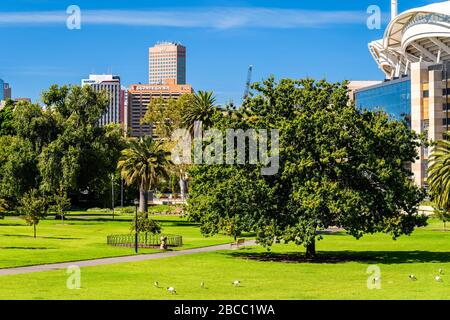 Adélaïde, Australie - 23 février 2020 : vue sur les gratte-ciel d'Adélaïde par les jardins Pennington en une journée Banque D'Images