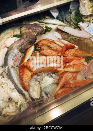 Mercato con Cucina, marché, restauration et restaurant, place Piazza Santa Maria del Suffragio, Milan, Lombardie, Italie, Europe Banque D'Images