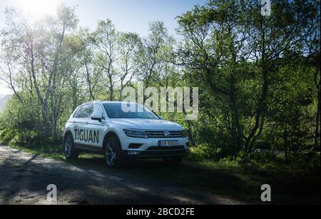 Blanc VW Tiguan au coucher du soleil sur une route forestière Banque D'Images