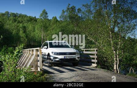 VW Tiguan sur un pont en bois dans la forêt. Banque D'Images